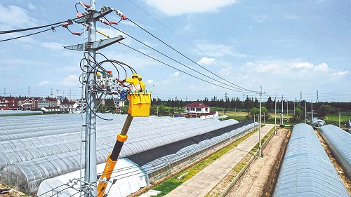 迎峰度夏保供電丨打造堅(jiān)強(qiáng)配網(wǎng) 讓供電更可靠